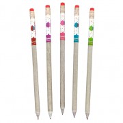 birthday_smencils